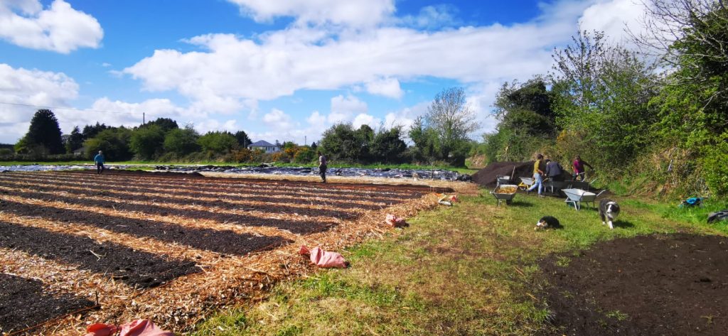 43050598-f55a-4e3c-8795-e81eb93e7486