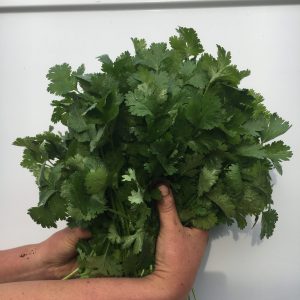 Coriander (80g)