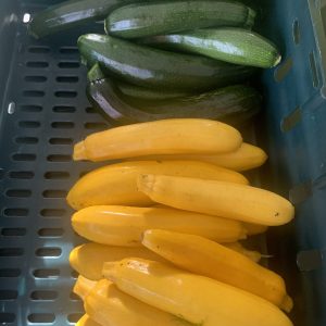 Courgettes (yellow n green)